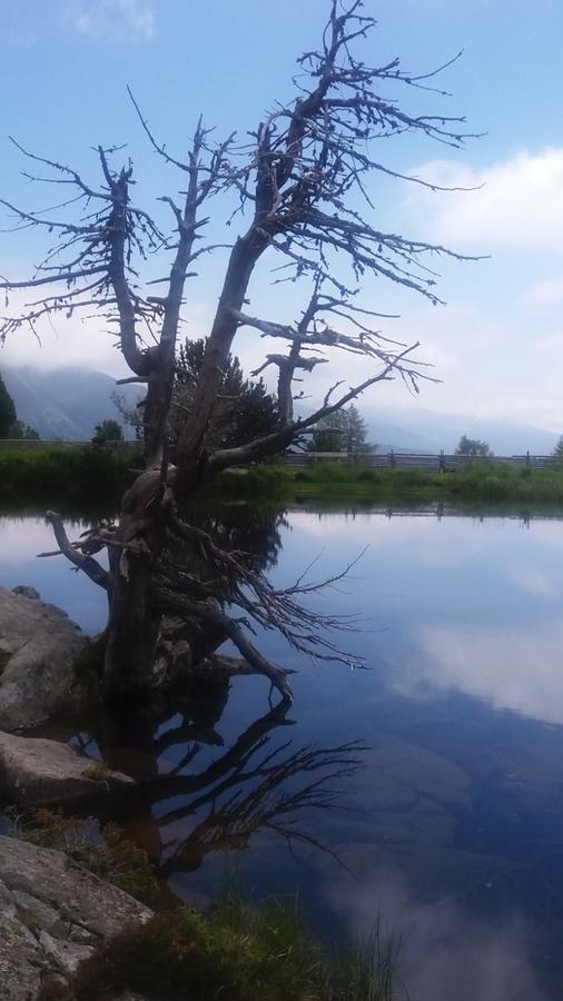 Villa Simonbauerhof Bad Kleinkirchheim Esterno foto