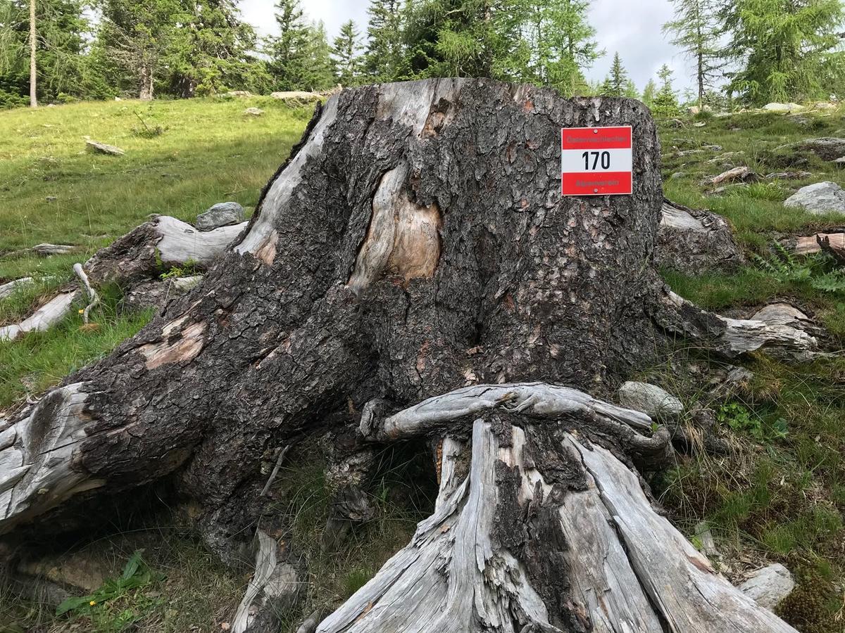 Villa Simonbauerhof Bad Kleinkirchheim Esterno foto