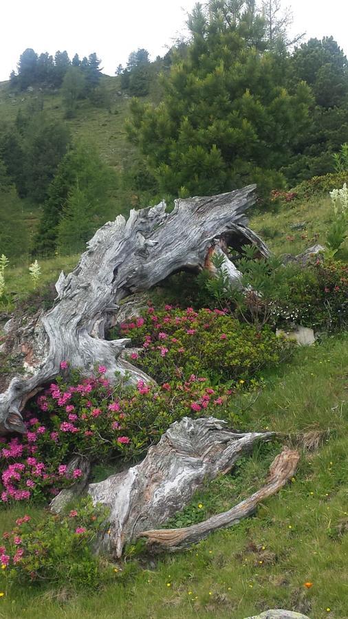 Villa Simonbauerhof Bad Kleinkirchheim Esterno foto