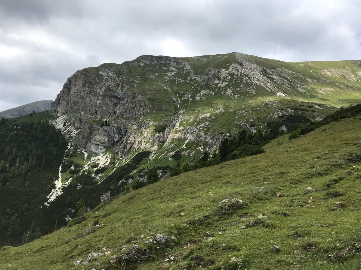 Villa Simonbauerhof Bad Kleinkirchheim Esterno foto
