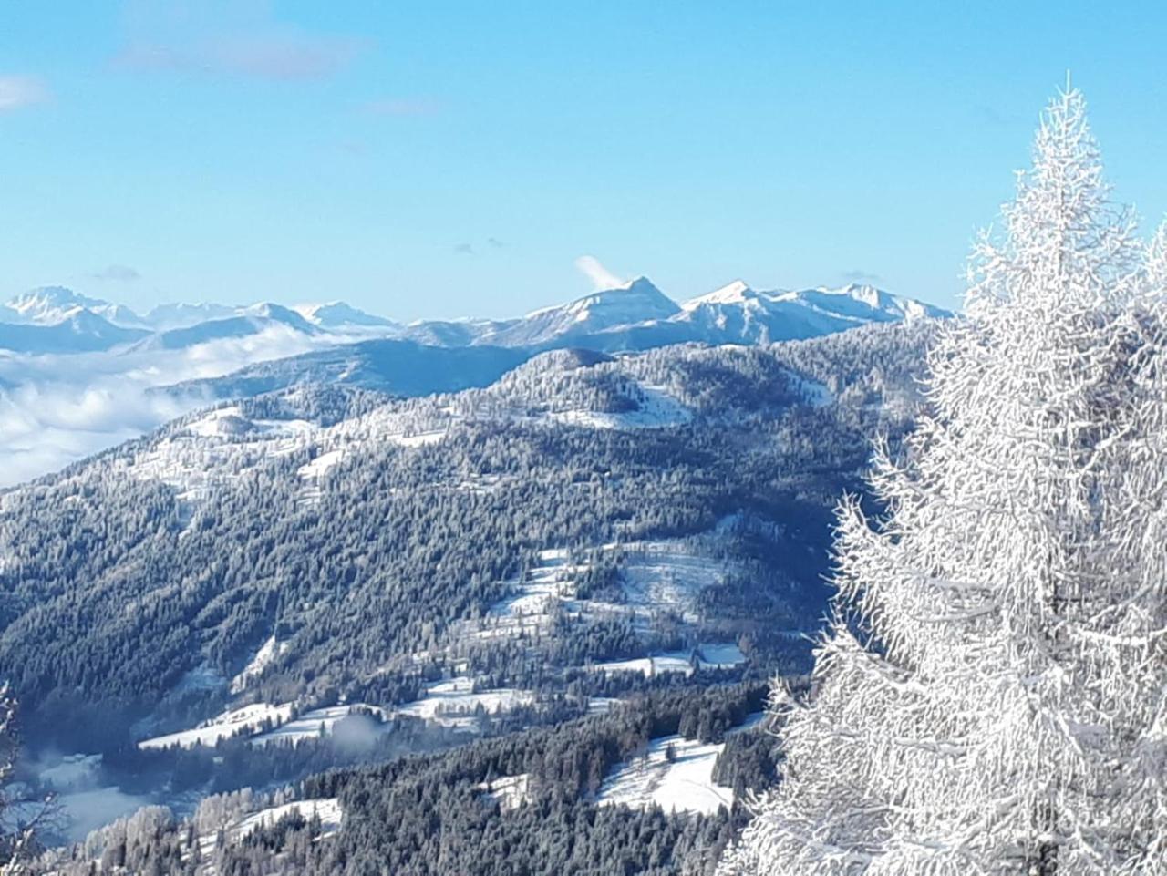 Villa Simonbauerhof Bad Kleinkirchheim Esterno foto
