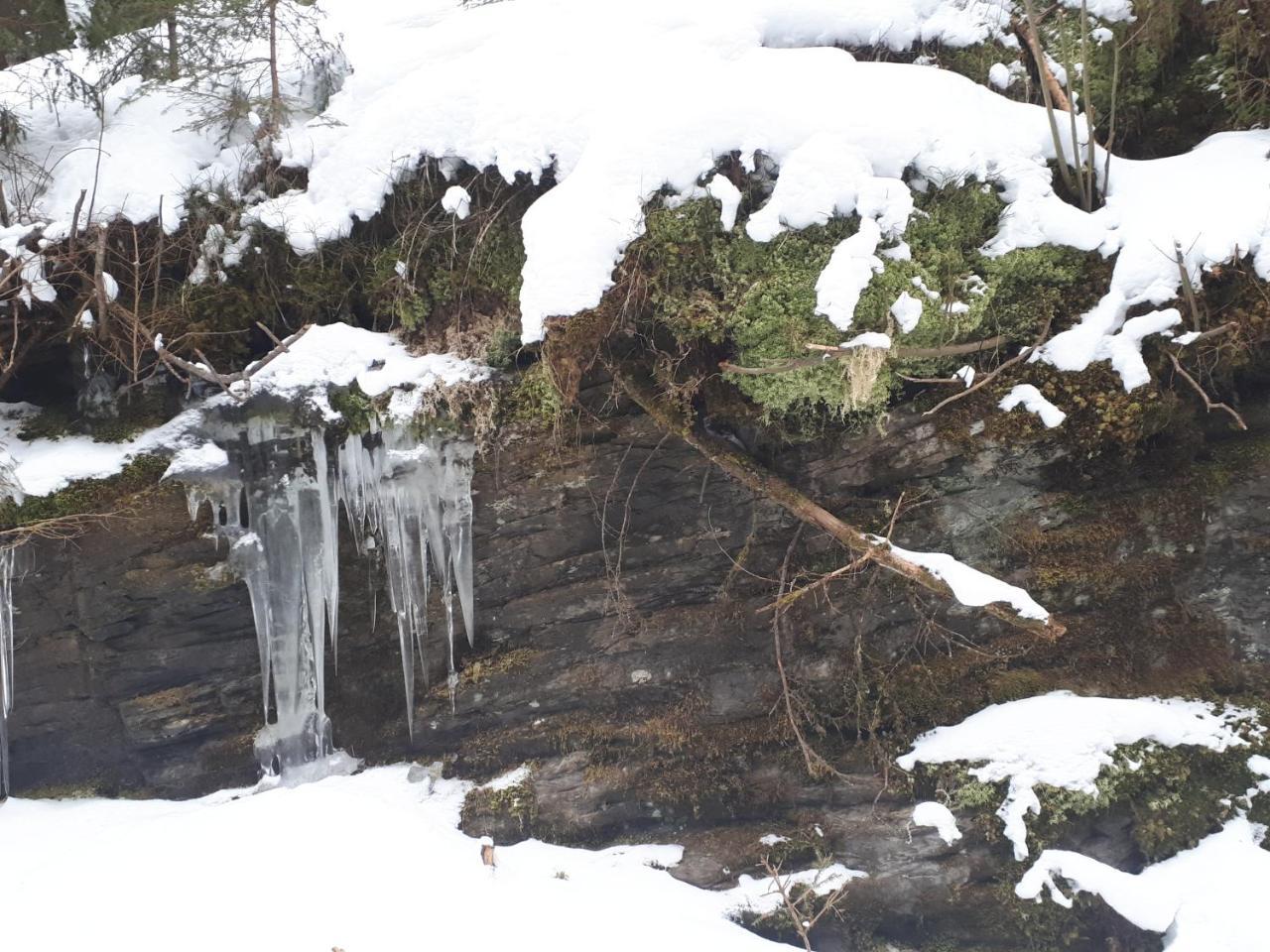 Villa Simonbauerhof Bad Kleinkirchheim Esterno foto